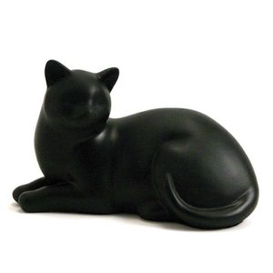 pisică confortabilă neagră