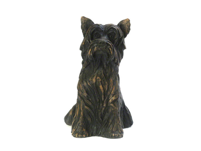 cachorro urna yorkshire terrier