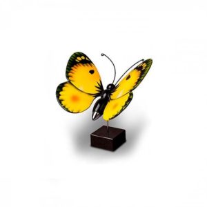 pequena borboleta de alfafa lenhosa