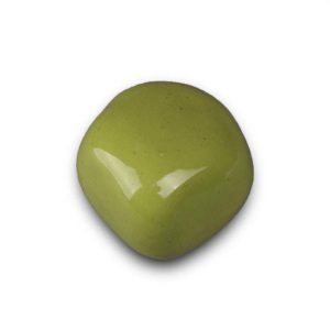 mini urne animal câliner vert pomme