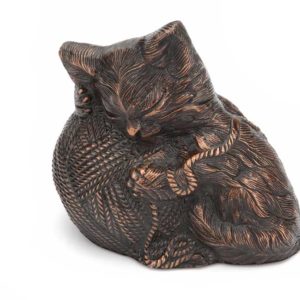 précieuse minou chat urne bronze