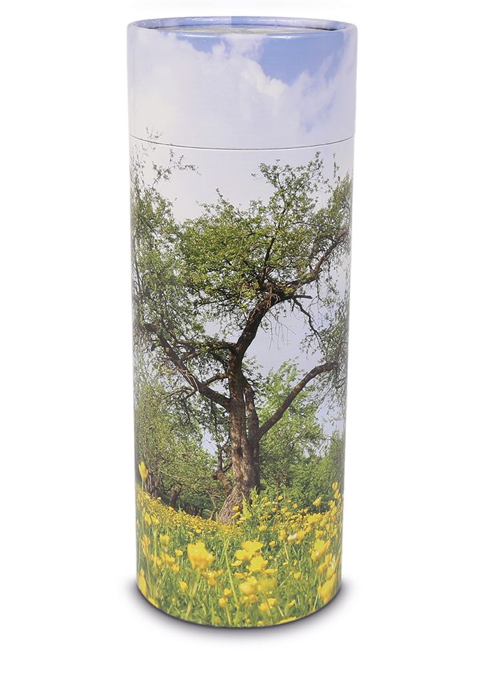 Large organic eco urn or ash shaker tree (3.0 liters)