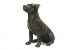 hundurne-sitzende-jack-russell-2.3liter-pb-jr