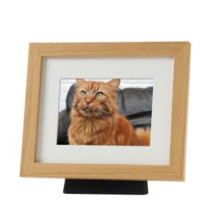 medium pet urn with wooden photo frame