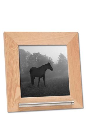 cadre photo animal avec mini tube de cendre rvs