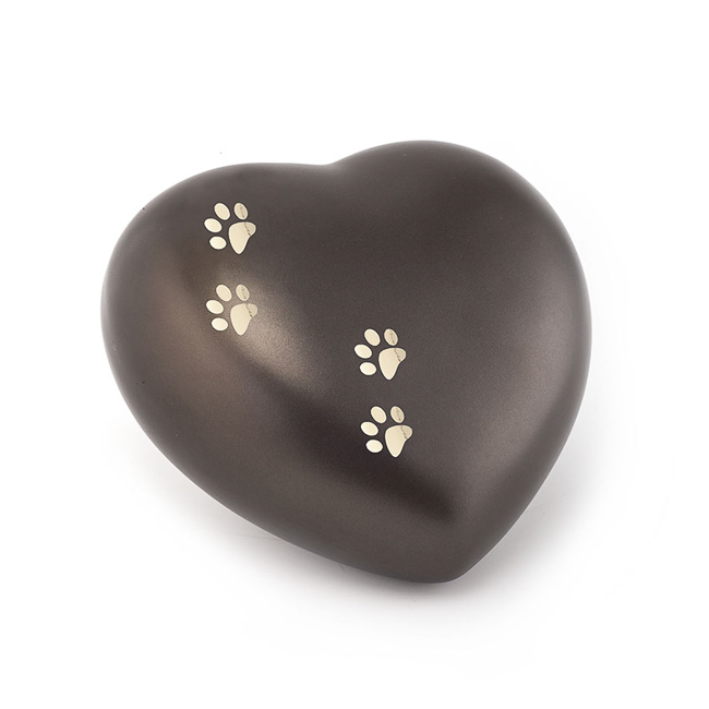 Ενταση ΗΧΟΥ