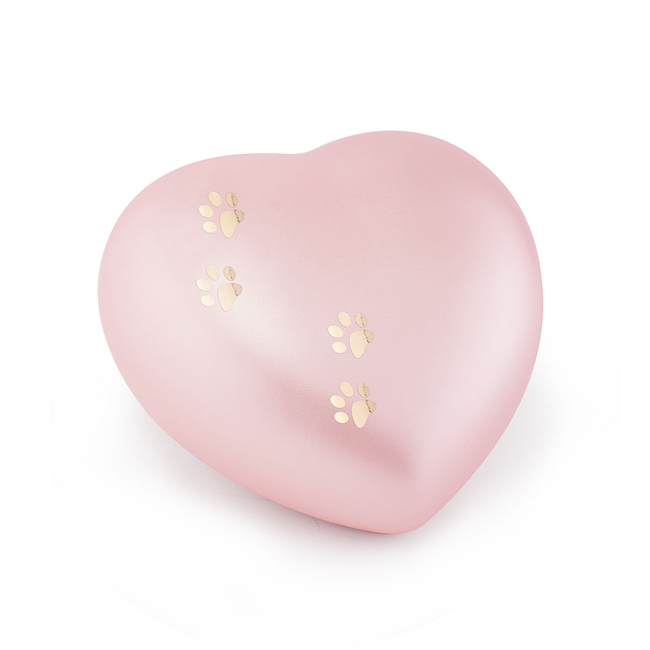 Ενταση ΗΧΟΥ