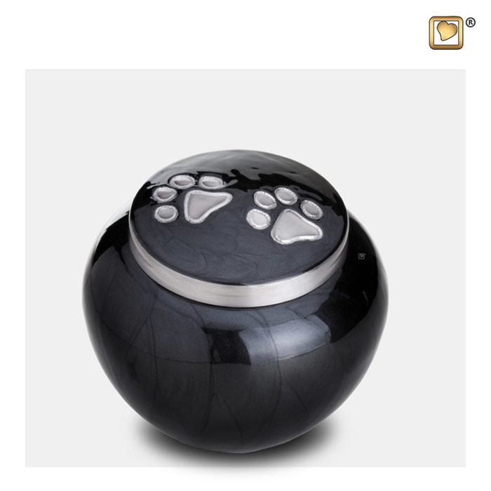 μετα μεσημβριας